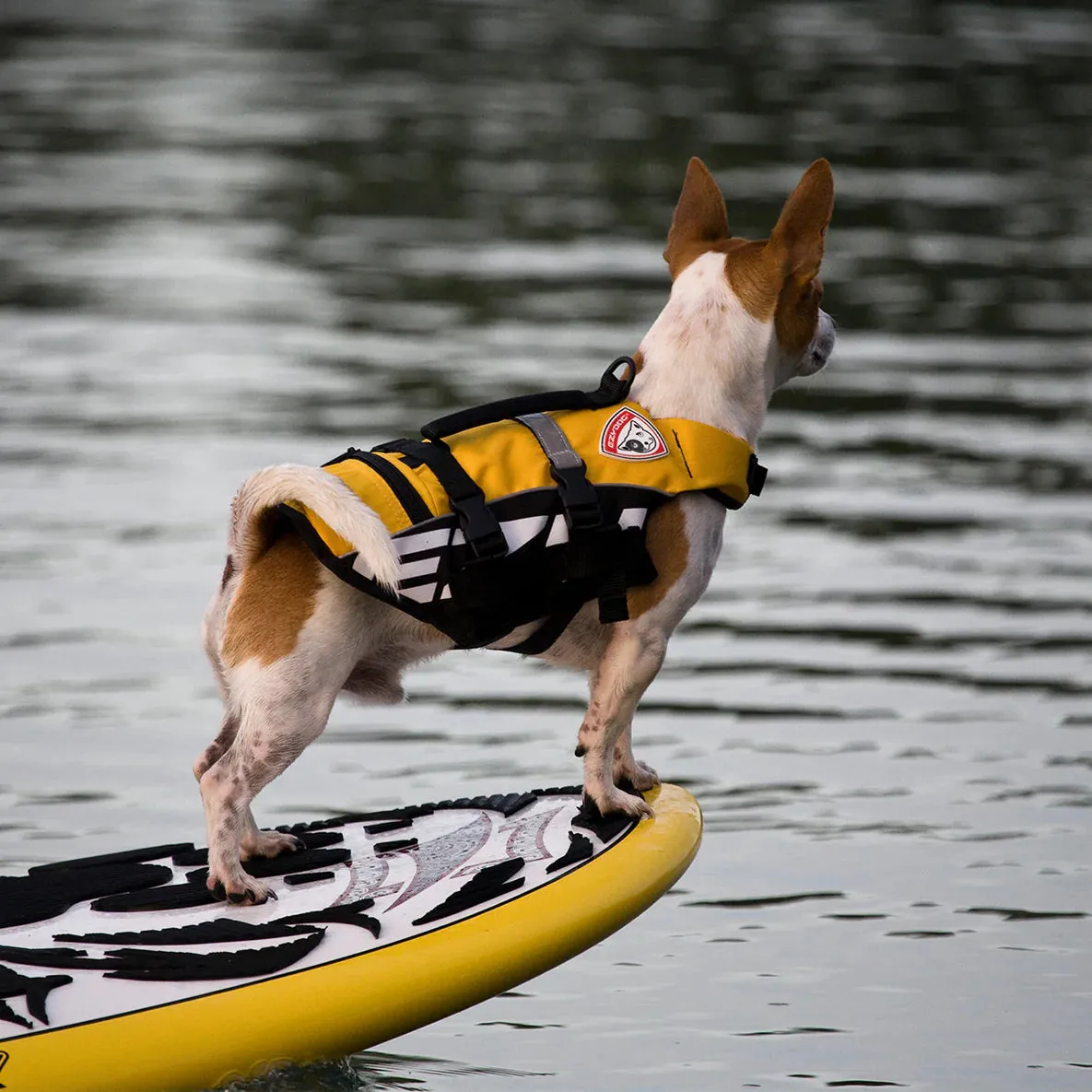 Ezydog Dfd Life Jacket Yellow Micro Extra Small