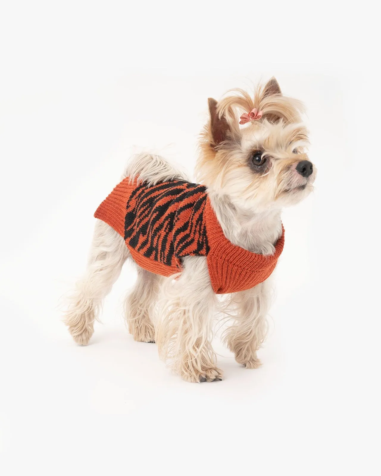 Tiger dog sweater